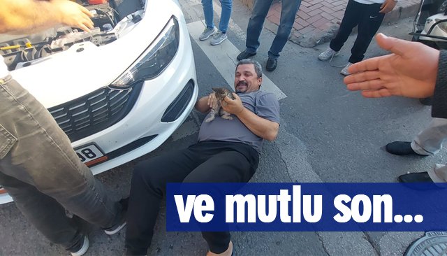 MOTORA SIKIŞAN KEDİ İÇİN SEFERBER OLDULAR