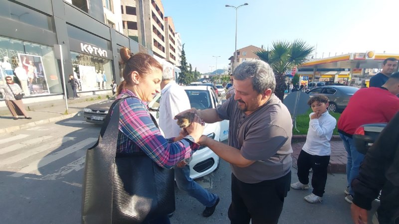 MOTORA SIKIŞAN KEDİ İÇİN SEFERBER OLDULAR - 1