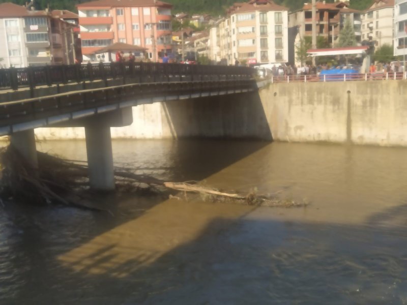 CESEDİ KİLOMETRELERCE UZAKTA BULUNDU - 1