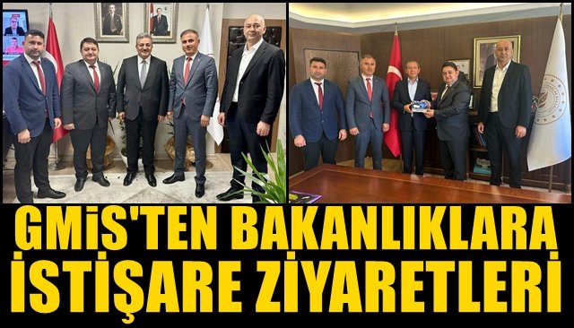 GMİS, ENERJİ BAKANLIĞI İLE ÇALIŞMA BAKANLIĞINI ZİYARET ETTİ