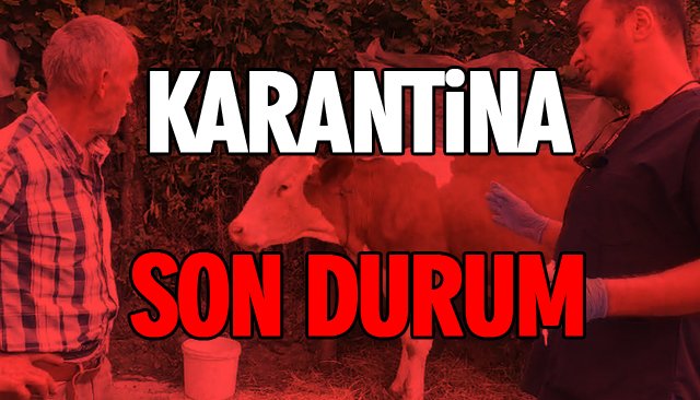 İŞTE SON DURUM! 120 KÖY KARANTİNADA...