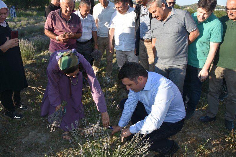 KADIN GİRİŞİMCİ, LAVANTA ÜRETİCİSİ OLDU - 3