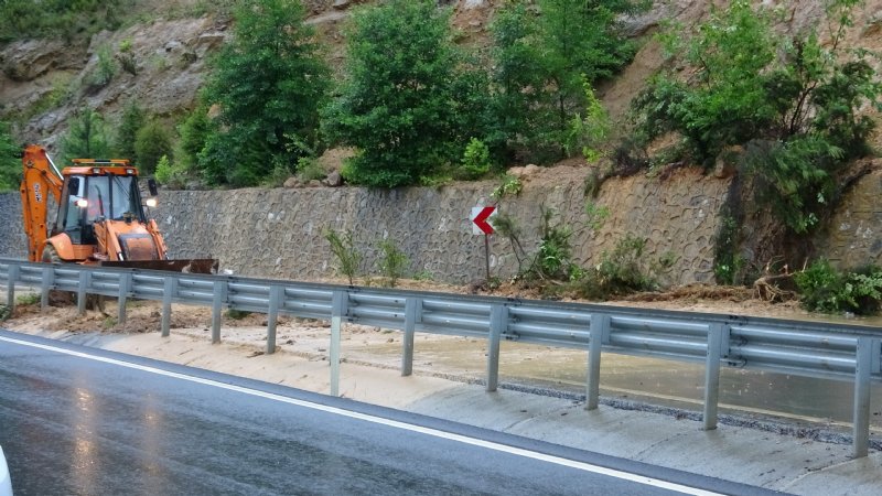 Yaz yağmuru hayatı olumsuz etkiledi... HEYELAN VE SU BASKINLARI YAŞANDI - 12