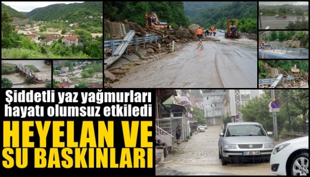 Yaz yağmuru hayatı olumsuz etkiledi... HEYELAN VE SU BASKINLARI YAŞANDI