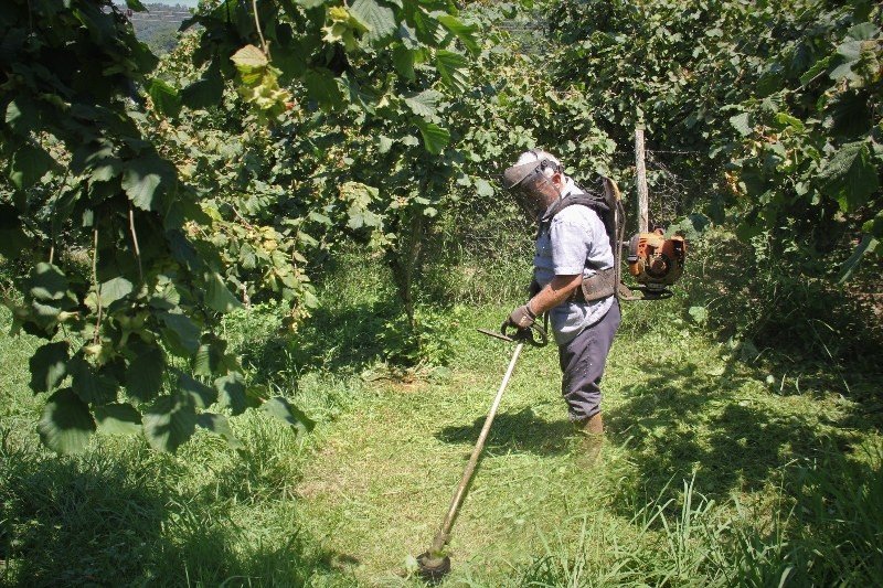 ZONGULDAK, TRABZON’DAN DAHA İYİ DURUMDA! - 2