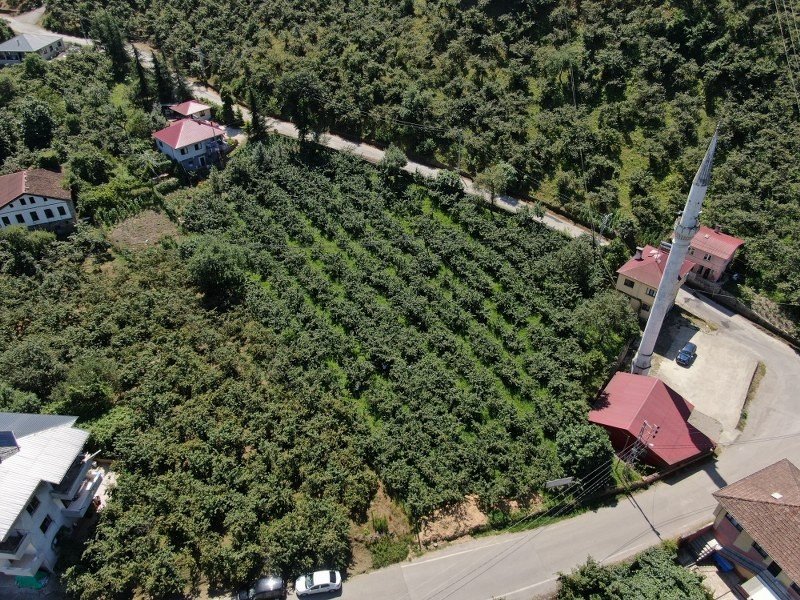 ZONGULDAK, TRABZON’DAN DAHA İYİ DURUMDA! - 3