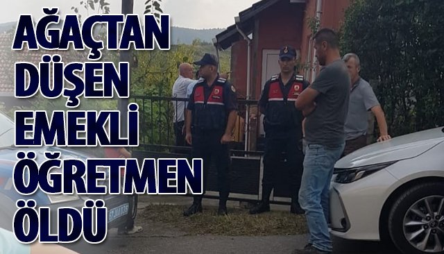 AĞAÇTAN DÜŞEN EMEKLİ ÖĞRETMEN ÖLDÜ