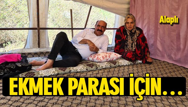 EKMEK PARASI İÇİN…