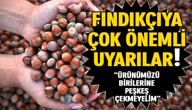 FINDIKÇIYA ÇOK ÖNEMLİ UYARILAR!