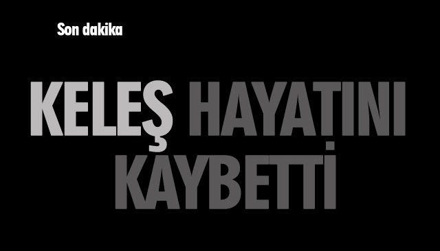 KELEŞ HAYATINI KAYBETTİ