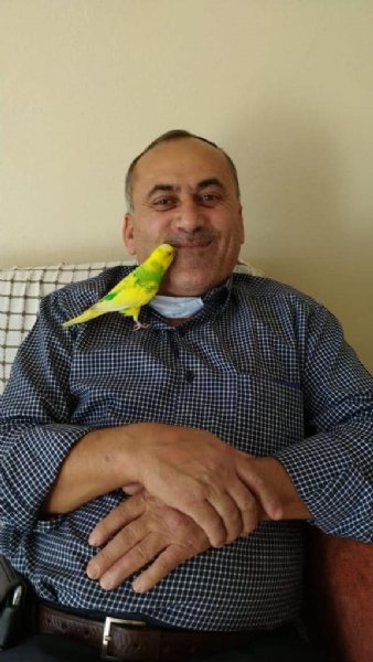 PATPAT ŞARAMPOLE YUVARLANDI:1 ÖLÜ - 1