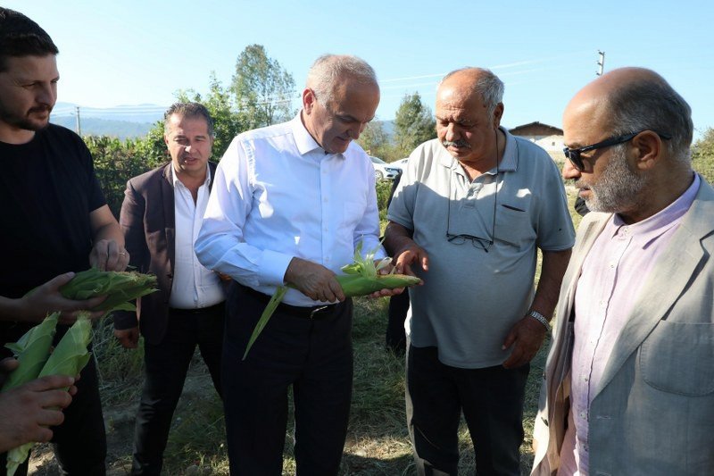 13 DÖNÜMDEN 70 TON MISIR ELDE EDİLDİ - 1