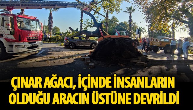 ÇINAR AĞACI, İÇİNDE İNSANLARIN OLDUĞU ARACIN ÜSTÜNE DEVRİLDİ