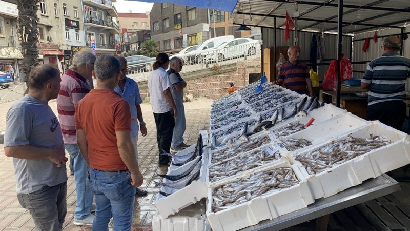 İKİNCİ AV GÜNÜNDE HAMSİ BOLLUĞU - 1