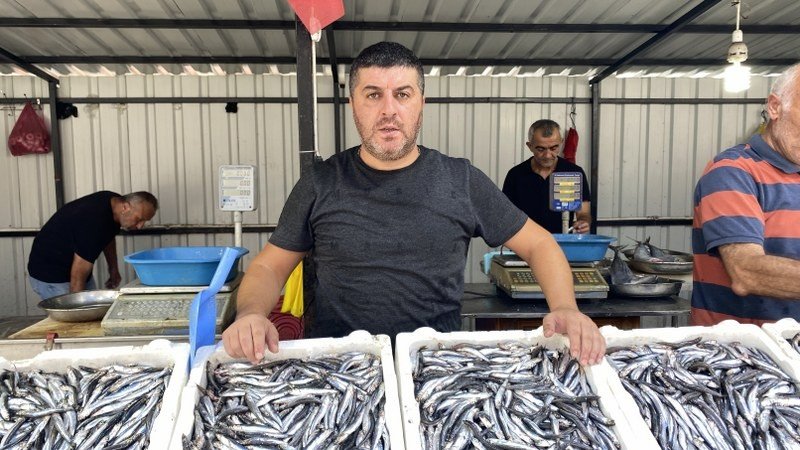 İKİNCİ AV GÜNÜNDE HAMSİ BOLLUĞU - 3
