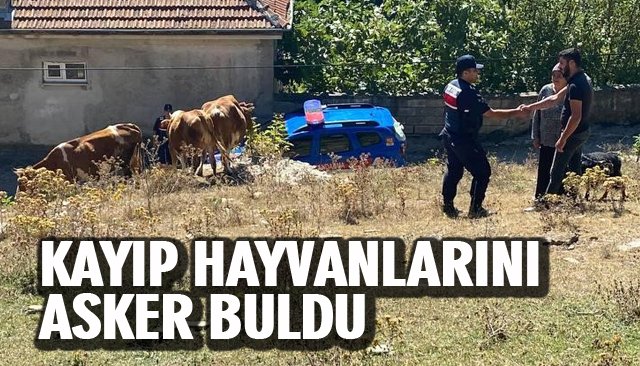 KAYIP HAYVANLARINI ASKER BULDU