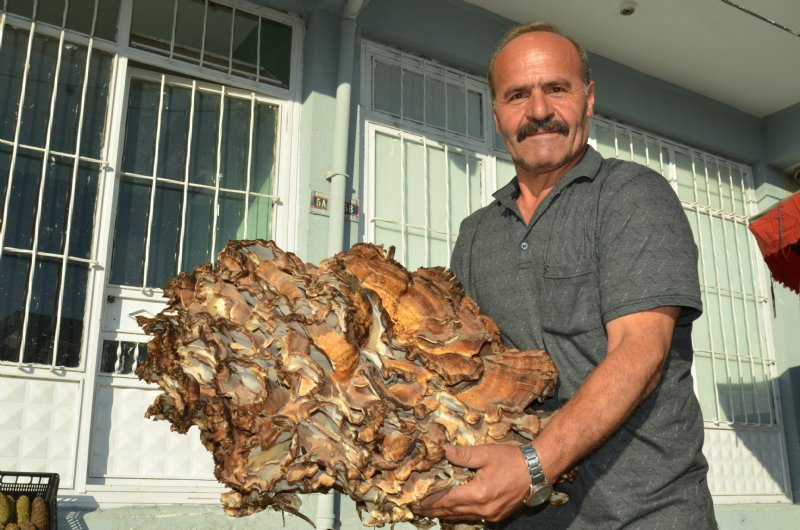 KİLOGRAMINI 40 LİRAYA SATIYOR! - 1