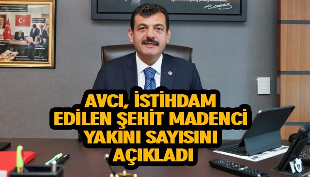 AVCI, İSTİHDAM EDİLEN ŞEHİT MADENCİ YAKINI SAYISINI AÇIKLADI