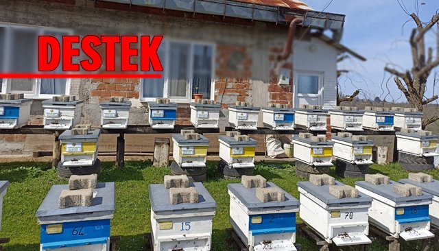 ORMAN KÖYLÜSÜNE PARA DESTEĞİ