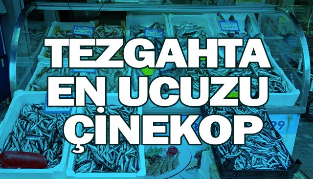TEZGAHTA EN UCUZU ÇİNEKOP