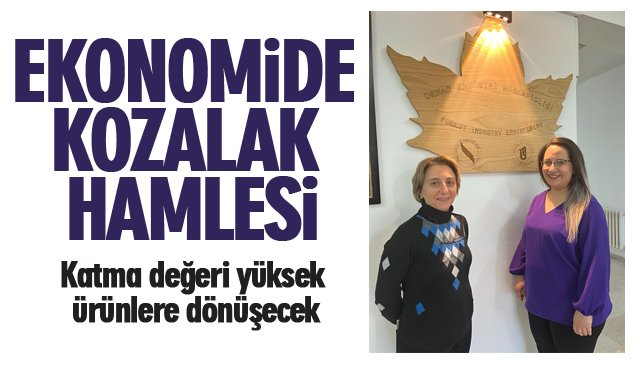 EKONOMİDE KOZALAK HAMLESİ