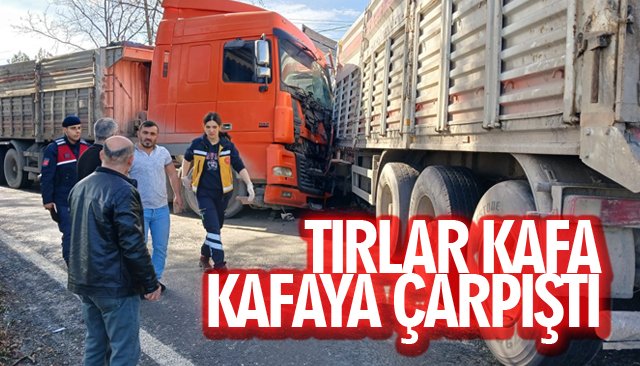 TIRLAR KAFA KAFAYA ÇARPIŞTI