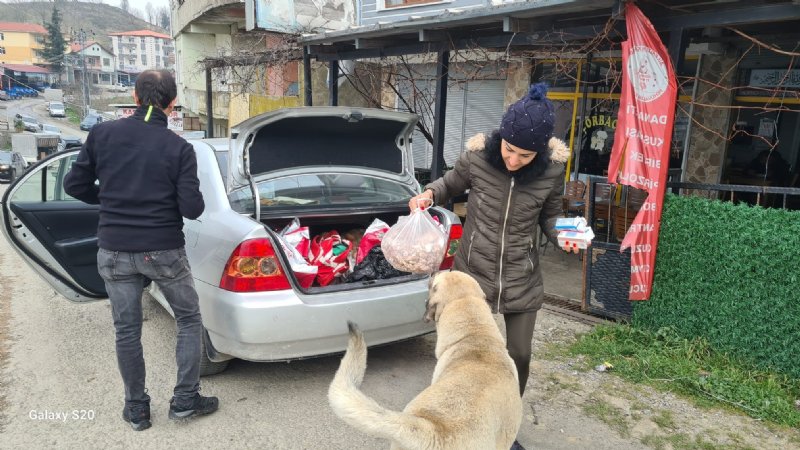 SOKAK HAYVANLARINI  5 YILDIR GÖNÜLLÜ BESLİYOR - 3