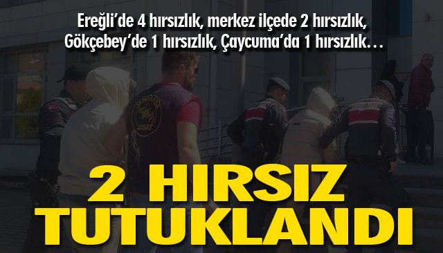 2 HIRSIZ TUTUKLANDI