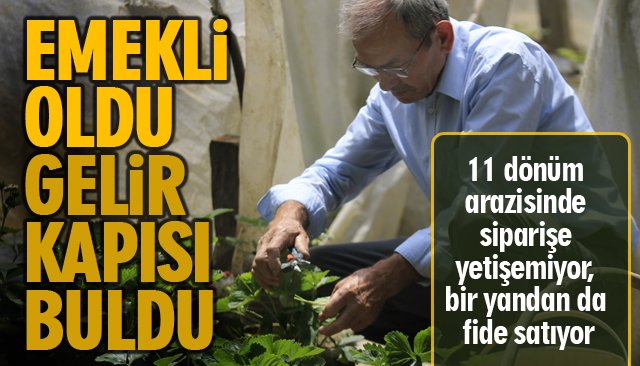 EMEKLİ OLDU GELİR KAPISI BULDU