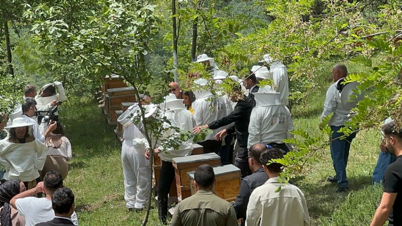 KOVANDA ARI, YIĞILCA’DA HAYAT VAR - 2