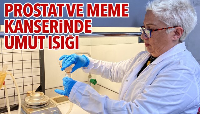 PROSTAT VE MEME KANSERİNDE UMUT IŞIĞI