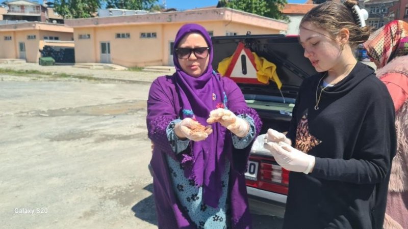 ZONGULDAK’IN İLÇESİNDE UYUZ PANİĞİ! - 2