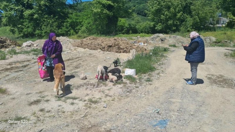 ZONGULDAK’IN İLÇESİNDE UYUZ PANİĞİ! - 5