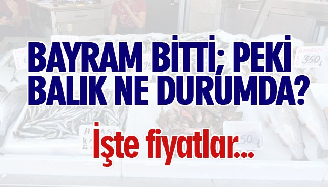 BALIK FİYATLARI ŞÖYLE...