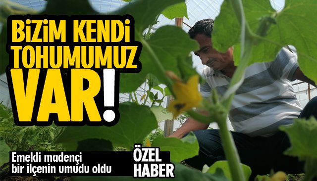 BİZİM KENDİ ATA TOHUMUMUZ VAR; İSTEYEN ALABİLİR...