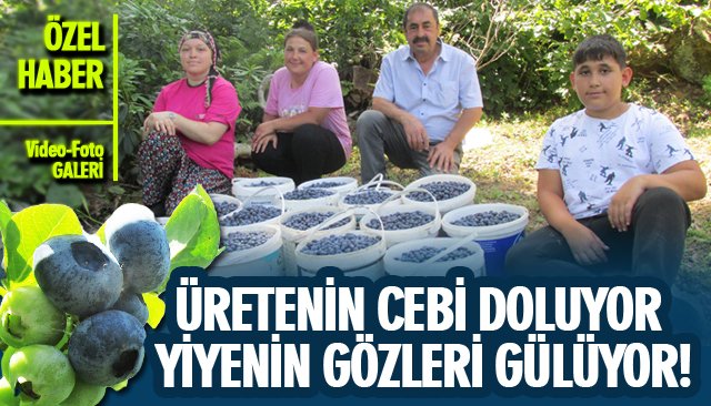 Ekonomik getirisi çok yüksek; 1 dönümle başladı şimdi 10 dönümde üretim yapıyor…
