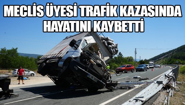 MECLİS ÜYESİ TRAFİK KAZASINDA HAYATINI KAYBETTİ