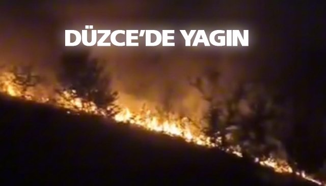 DÜZCE’DE YAGIN