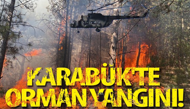 KARABÜK´TE ORMAN YANGINI!