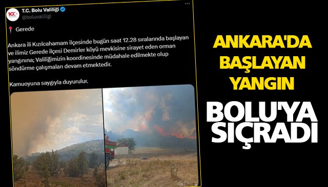 ANKARA´DA BAŞLAYAN YANGIN BOLU´YA SIÇRADI