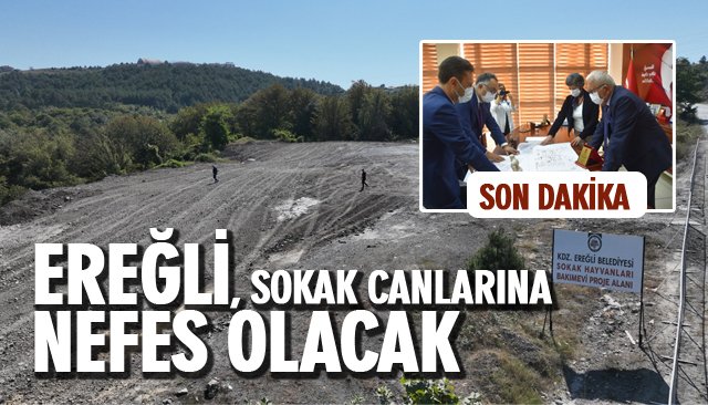 EREĞLİ, SOKAK CANLARINA NEFES OLACAK