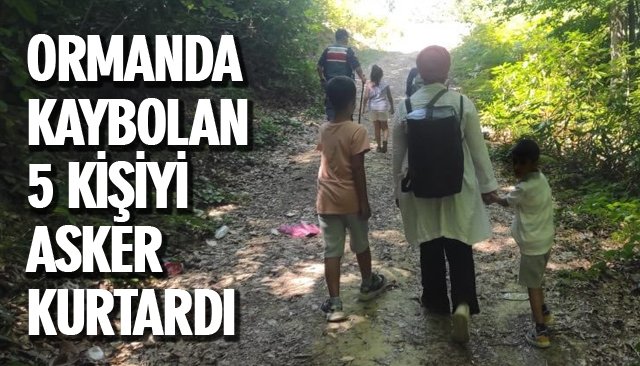 ORMANDA KAYBOLDULAR