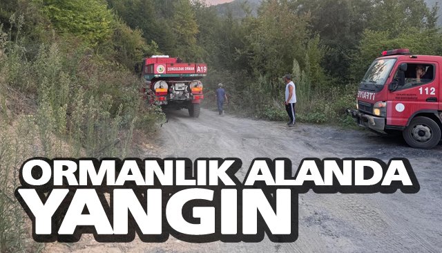 ORMANLIK ALANDA YANGIN