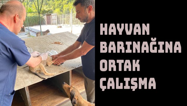 HAYVAN BARINAĞINA ORTAK ÇALIŞMA