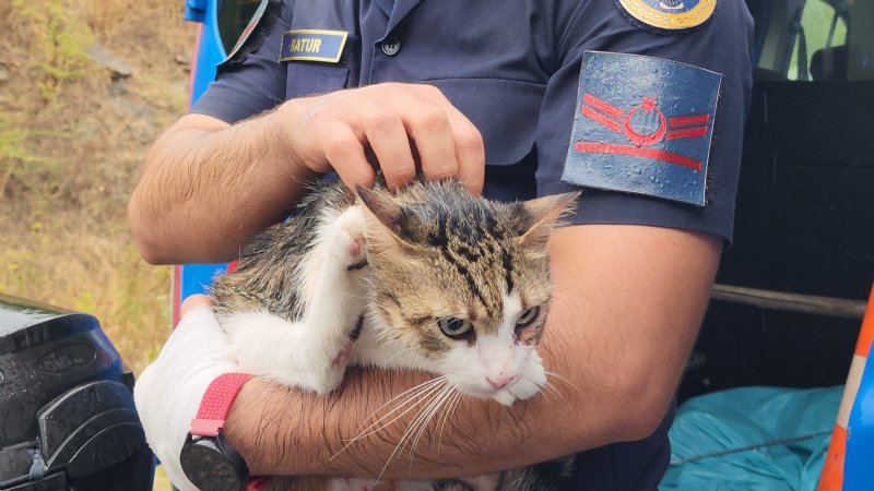 YOLCU OTOBÜSÜ İLE KAMYON ÇARPIŞTI: 2 ÖLÜ, 23 YARALI - 5