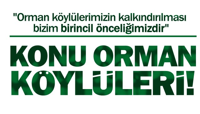KONU ORMAN KÖYLÜLERİ!