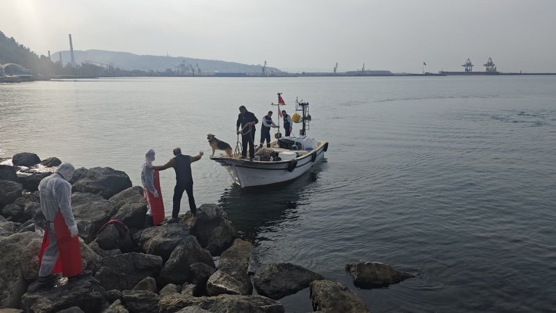 16. HAMSİ FESTİVALİ YOĞUN İLGİ GÖRDÜ - 5