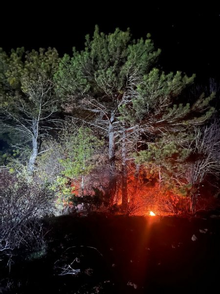 ORMANLIK ALANDA YANGIN - 2