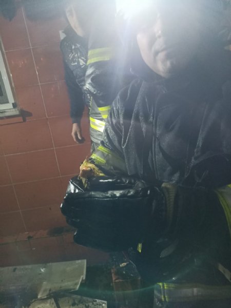 ZONGULDAK’TA YANGIN;  PAPAĞAN KURTARILDI - 1