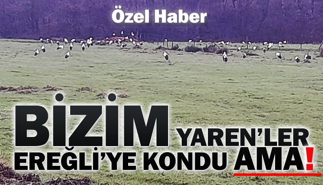 SON DAKİKA-BU SABAH 08:30´DA...